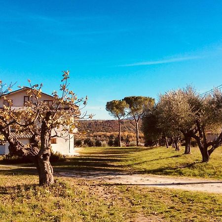 Le Terre D'Abruzzo Vendégház Alanno Kültér fotó
